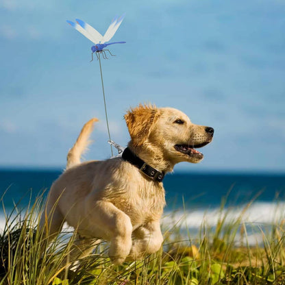 Dragonfly Clip Bug Repe Llent-Repels mosquitoes effectively