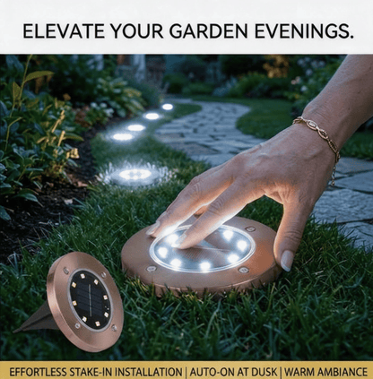 Solar Powered 8-LED Ground Lights | Outdoor Pathway Lighting