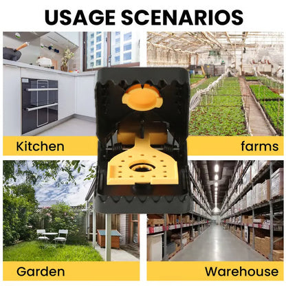 Humane Mouse Control — Simple, Safe & Effective