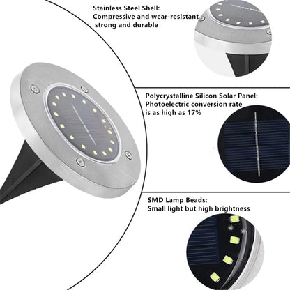 Solar Powered 8-LED Ground Lights | Outdoor Pathway Lighting