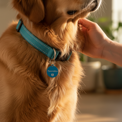 Smart QR Reflective Collar
