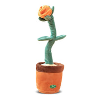 Orange Rose